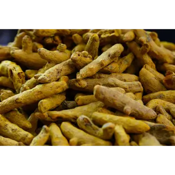 Fresh Turmeric Finger